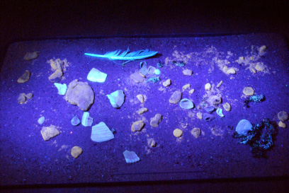 Beach items under a UV Spotlight